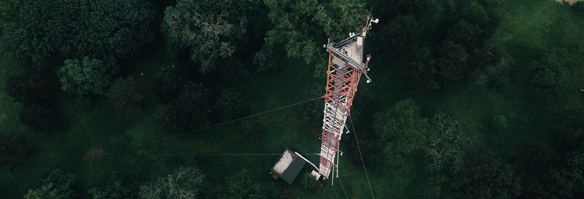 Photo by Konsta Punkka