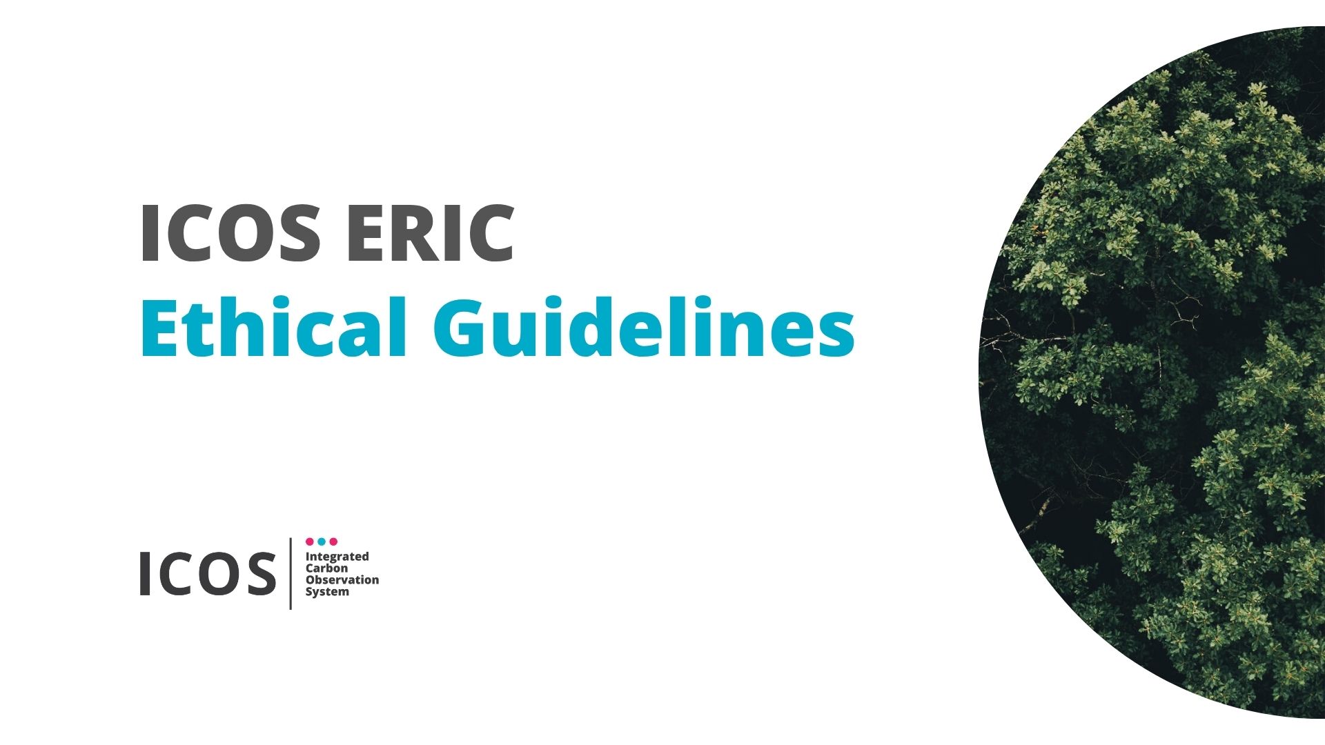 Ethical Guidelines