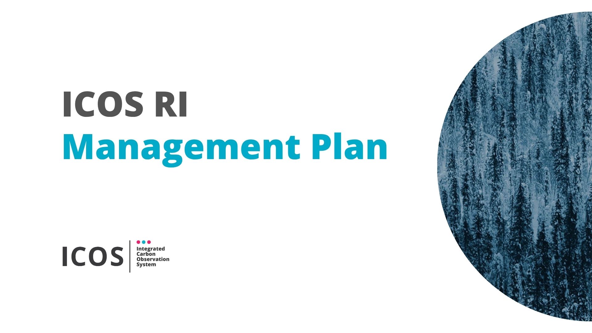 Management plan