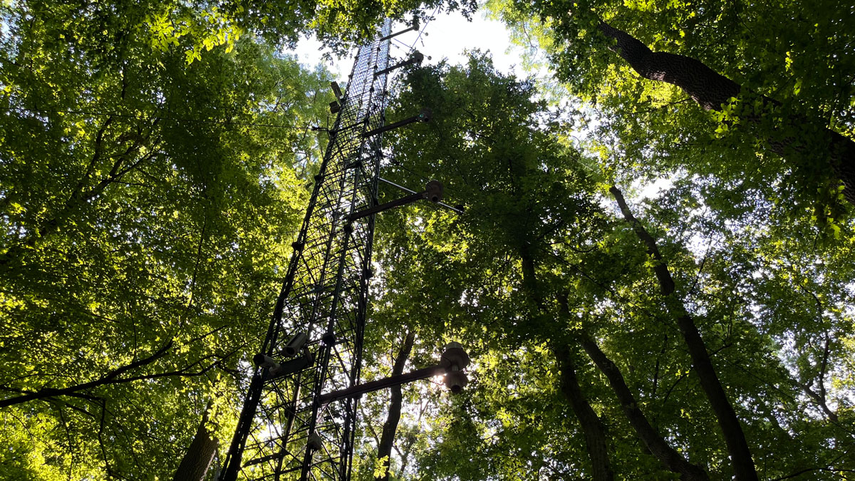 The trip included an excursion to the ICOS station Lanžhot, where conference participants were able to see ICOS greenhouse gas measurement techniques up close.