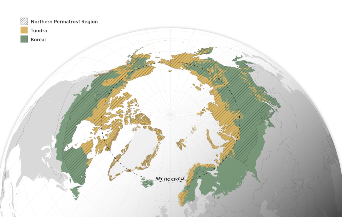 Map of the study area, covering tundra and boreal biomes and showing the extent of the northern permafrost region.