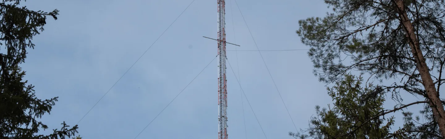 Hyytiälä tower