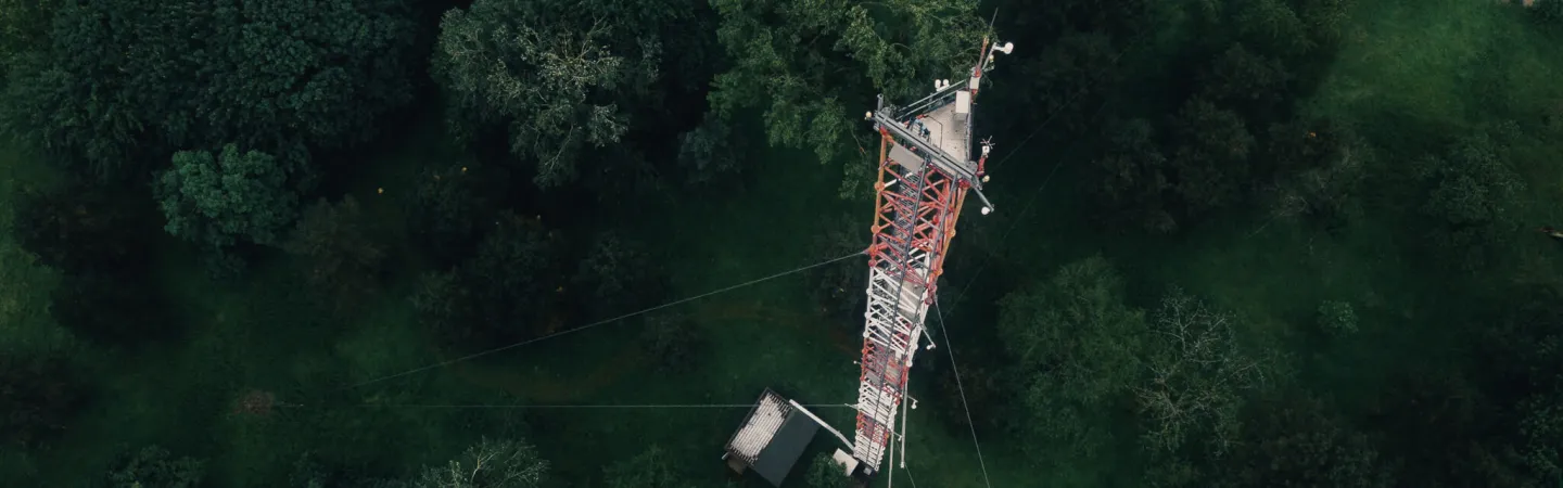 Tall measurement tower rising above forest canopy