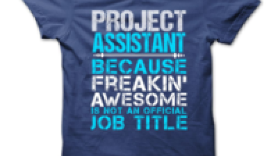 assistant shirt