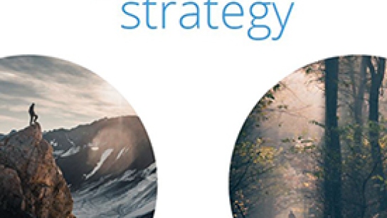 ICOS strategy