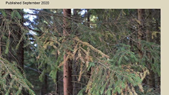 Special issue cover photo