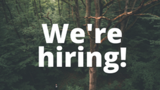 Picture fo a tree with a text we're hiring!