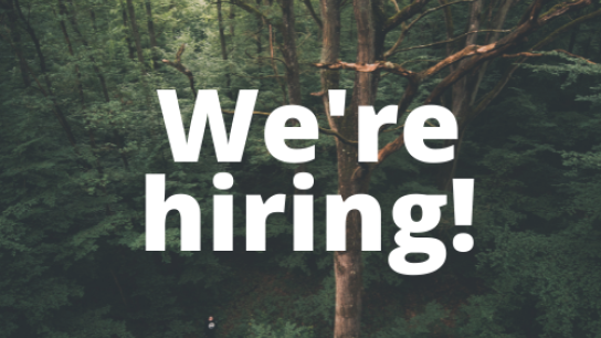 Picture of a tree in a green landscape with the text We're hiring on top