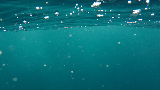 underwater picture