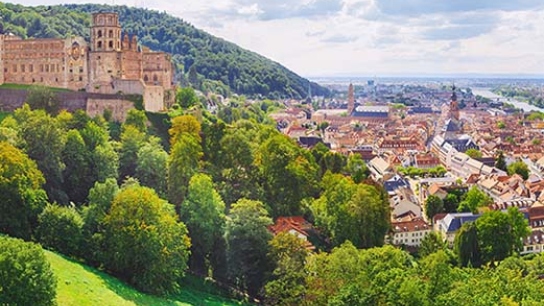 ICOS Cities