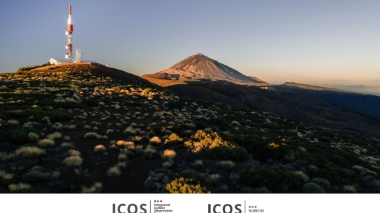ICOS at LPS banner