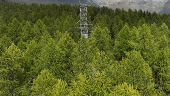 Torgnon tower