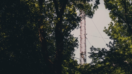 Scientist climbing a tall observation tower in a lush green forest