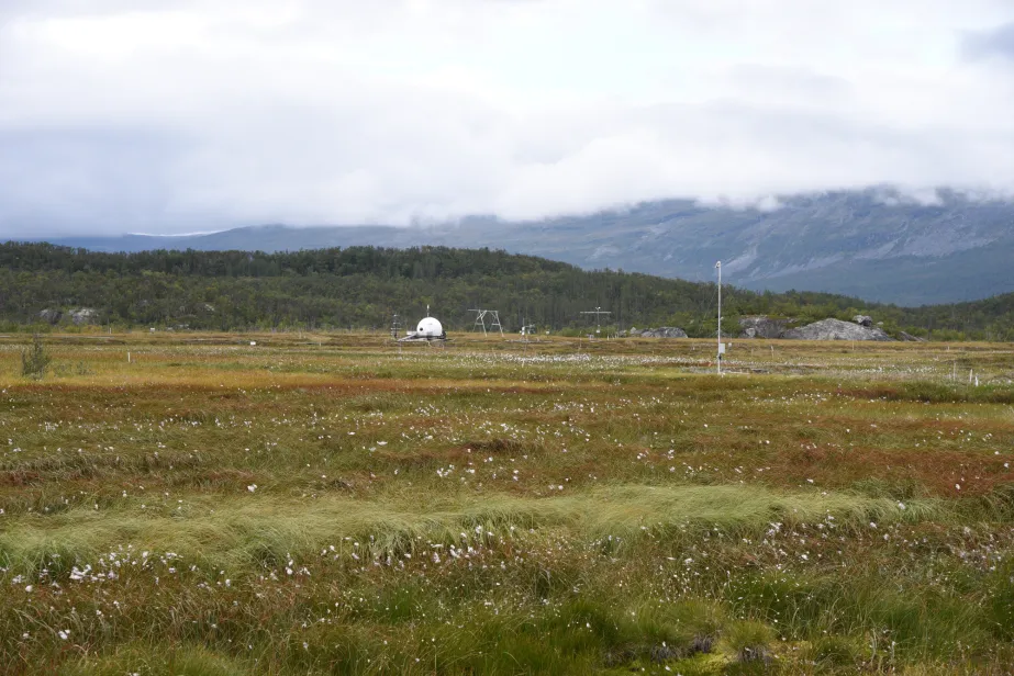 Abisko