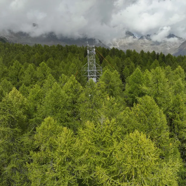 Torgnon tower