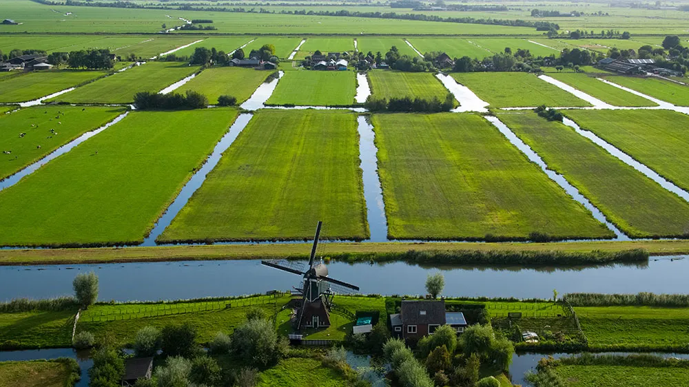 FLUXES 2 - Nature-based carbon sinks have a dual role in climate action