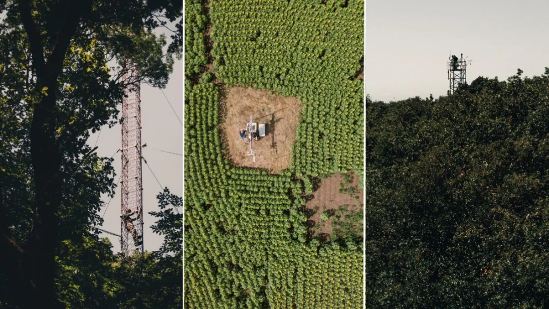 three pictures showing a leafy green forest, field of sunflowers and a measurement tower above the trees