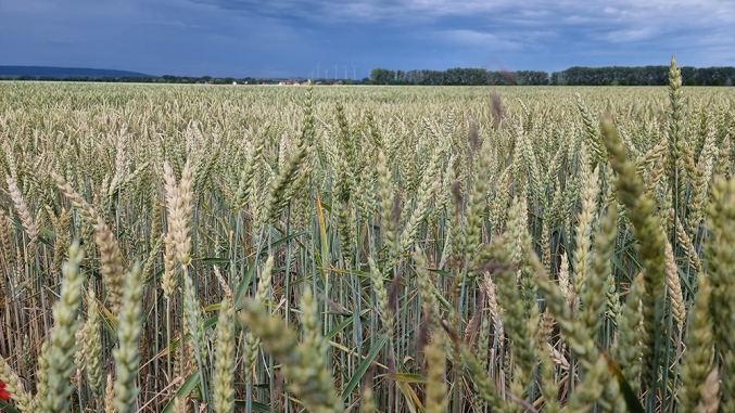 Carbon farming